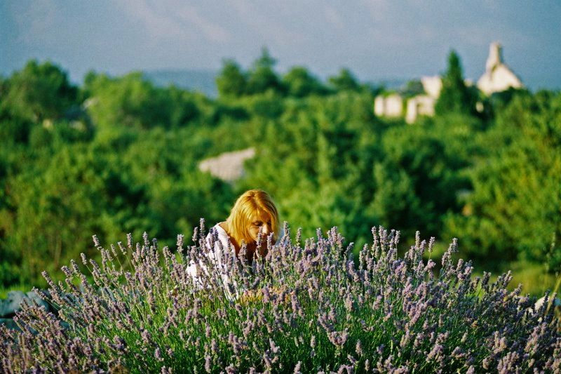 3-Hour Lavender Tour from Hvar - Velo Grablje Break Time: Lavender Dessert and a Sun-Powered Reset