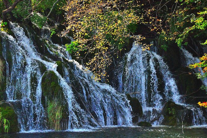 All inclusive luxury daytrip Plitvice Lakes from Split or Trogir - Ranch Deer Valley: feeding deer in the woods