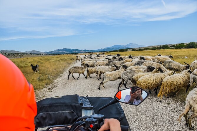 ATV Dinara Mountain tour with picnic - Quads for drivers vs passengers: the license reality