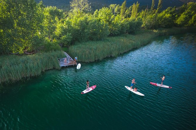 Bacina Lakes Stand-Up Paddle Board Tour - Wildlife spotting, Ivan’s teaching, and the seagull trick