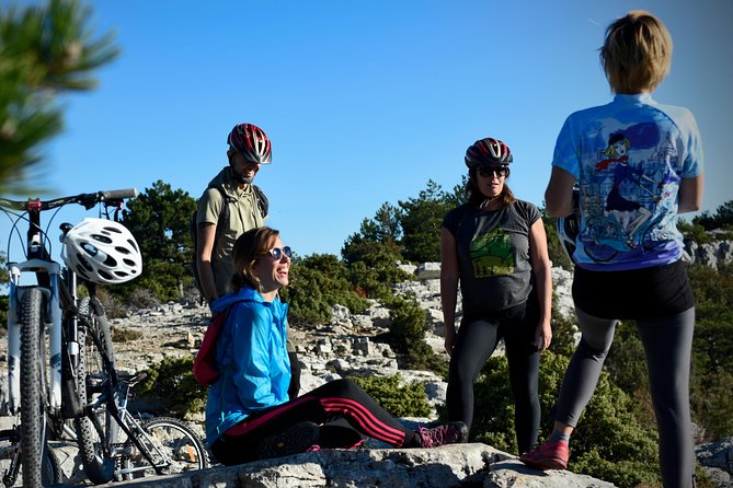 Biking Vidova - Skrip & museum of olive oil - Splitska - Postira - Lunch: olives, cheese, and local products as your reset button