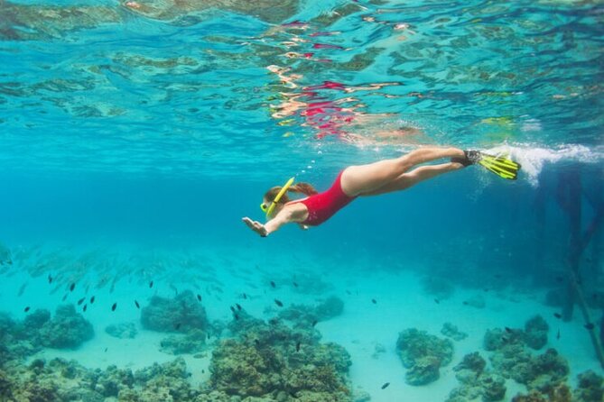 Blue Cave Full-Day Boat Tour with Hvar and 5 Islands - Budikovac Lagoon: where snorkeling gear actually gets used
