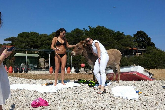 Blue Cave, Hvar and Five islands - Small-Group Tour From Split - Stiniva Cove and the Swim Stops That Let You Actually Enjoy the Water
