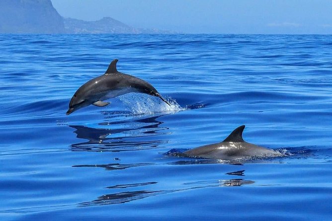 BLUE LAGON & 3 islands full day private speedboat tour - Key points before you go