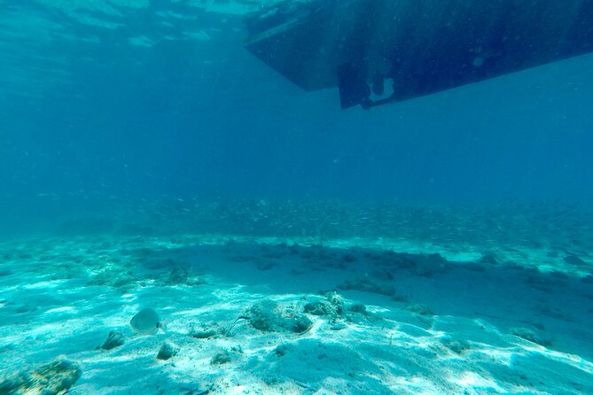 Blue Lagoon & 3 Islands Private Boat Tour - Necujam Bay on Solta: beaches, lunch choices, and a shipwreck peek