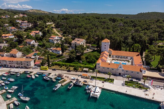 Blue Lagoon and Šolta Island Private Speedboat Tour - Price and value: what $932.53 per group buys you