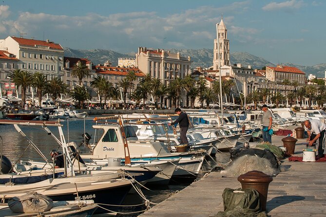 City Bike Tour of Split - Marjan Park climb: pine shade, marina views, and why the uphill is worth it