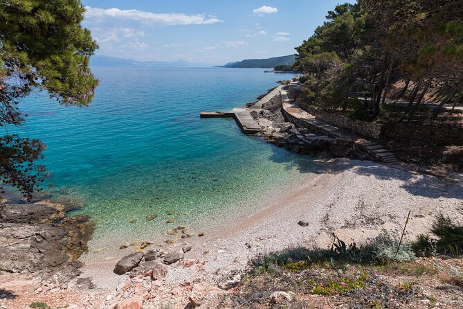 Cycle Hvar Tour - Stop 4: Jelsa coffee in the pine forest, then vineyards and olive groves