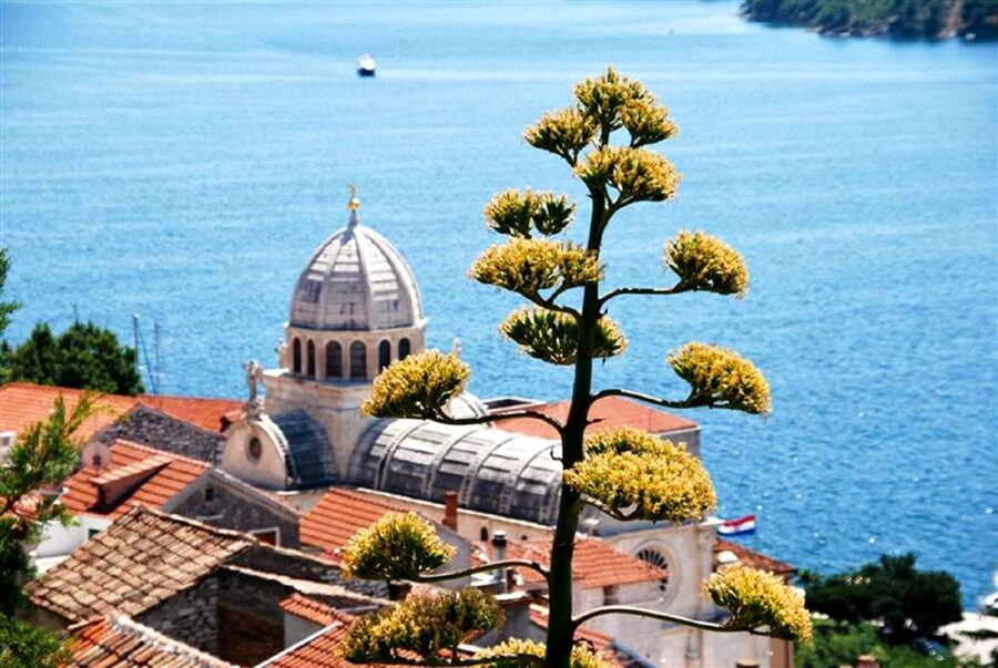 Dalmatian Delights: Food & Wine Tour from Split or Trogir - Ranch Rak in Dubrava: cellars, wine samples, and real wine talk