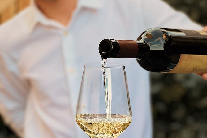 Dalmatian wine tasting by Bottiglia wine & deli - Meeting Christina and the tasting rhythm on the terrace