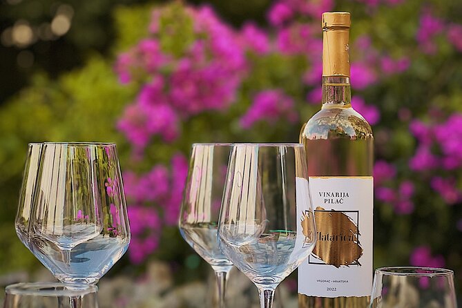 Dalmatian wine tasting by Bottiglia wine & deli - Split terrace setting: views, comfort, and the insect reality