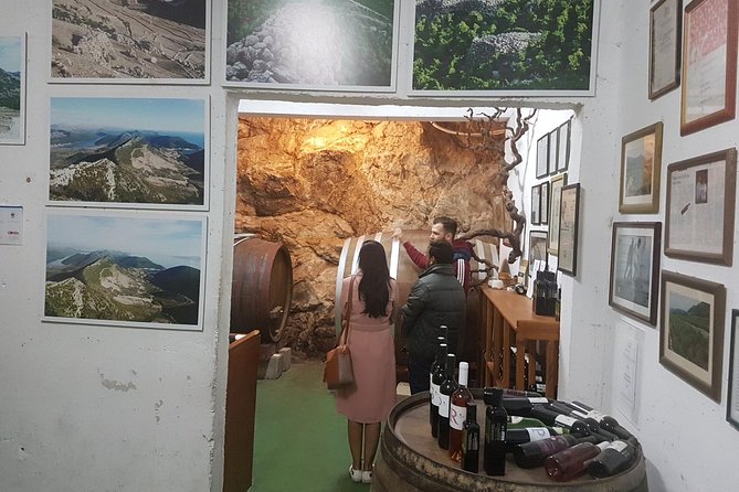 Day Trip to Dubrovnik From Split - Ston and the included oyster tasting on a short, efficient stop