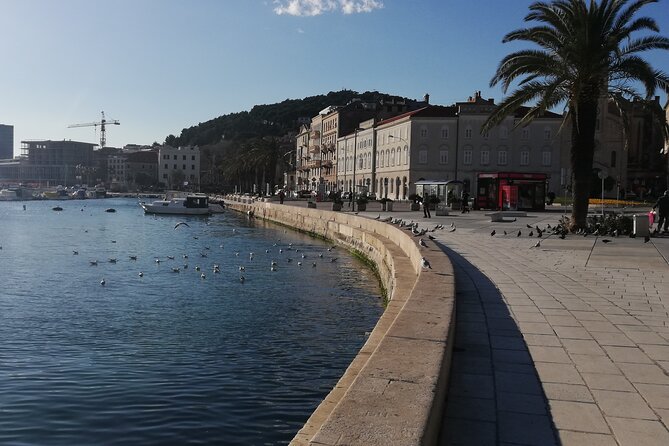 Diocletian's Palace Small Group Tour in Split - What you’ll be able to do after the walk ends