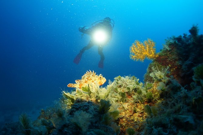 Diving day tour with 2 dives - Key things that make this scuba day in Tučepi work