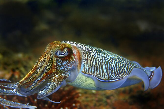 Diving day tour with 2 dives - The surface break: your time to reset and enjoy the day