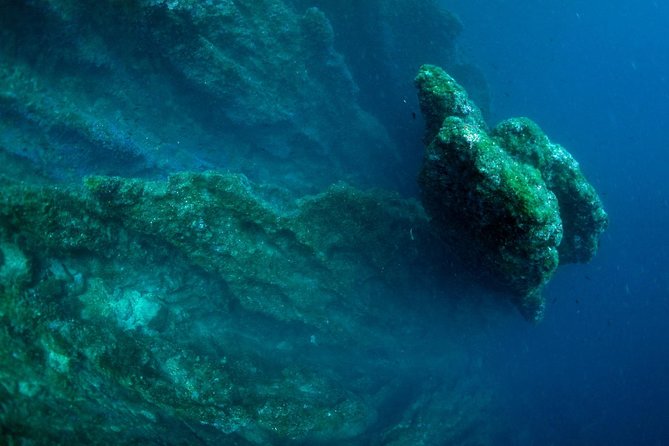 Diving day tour with 2 dives - What’s included, what isn’t, and how to judge the value