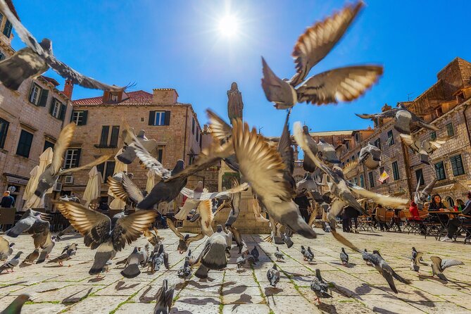 Dubrovnik Guided Tour & Free Time From Makarska Riviera - Pickup From the Makarska Riviera, and the Reality of Early Starts
