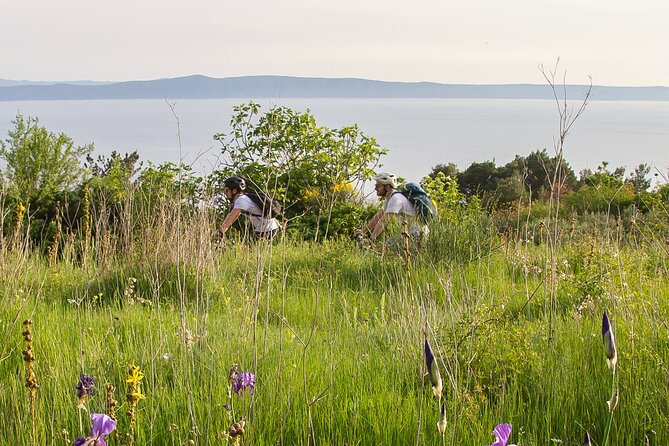 E-Bike Tour at Historical Villages of Makarska - Theme Trail Kotišina: where the views happen between stops