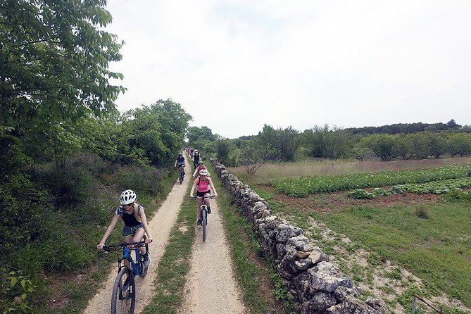 Exploring Vodice on Two Wheels - Price of $65.53: what you get for your money