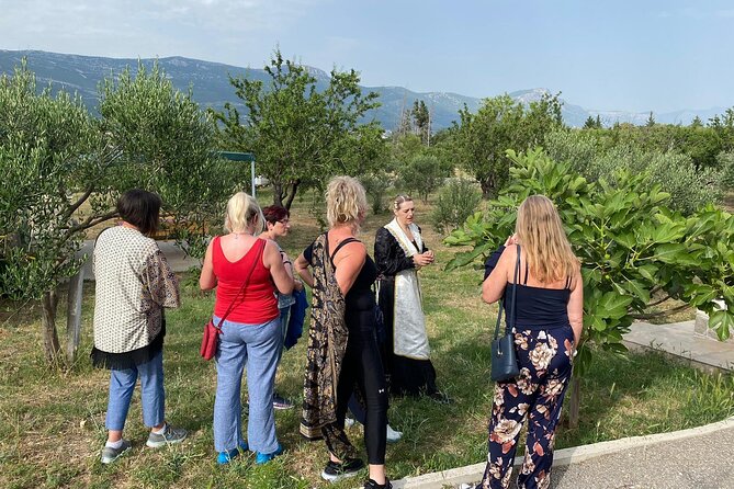 Family-run Vineyard Tour & Award Winning Wine Tasting/Delicacies - Why This Kaštela Vineyard Tour Feels Different From Typical Tastings