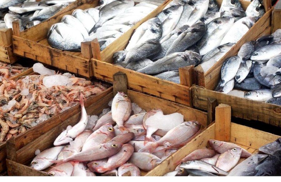 Food Tour in Split ( Small Group) - Split fish market: the smell, the pace, and the seafood obsession