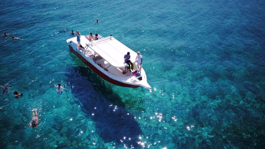 From Hvar: Vis Island and Blue Cave Speedboat Tour - Stiniva Beach swim: cliffs, cool water, and ladder time