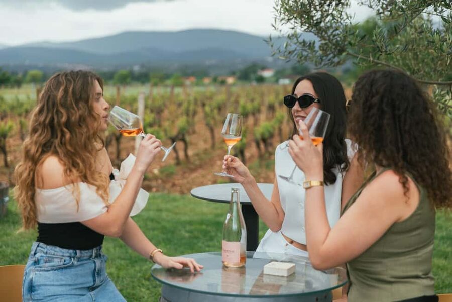 From Makarska : Wine Tasting Grabovac Tour - Makarska to the countryside, without the stress of driving