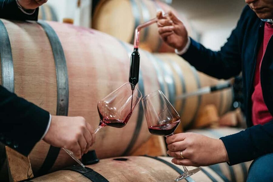 From Makarska : Wine Tasting Grabovac Tour - After tasting: vineyard stroll and bottle shopping time