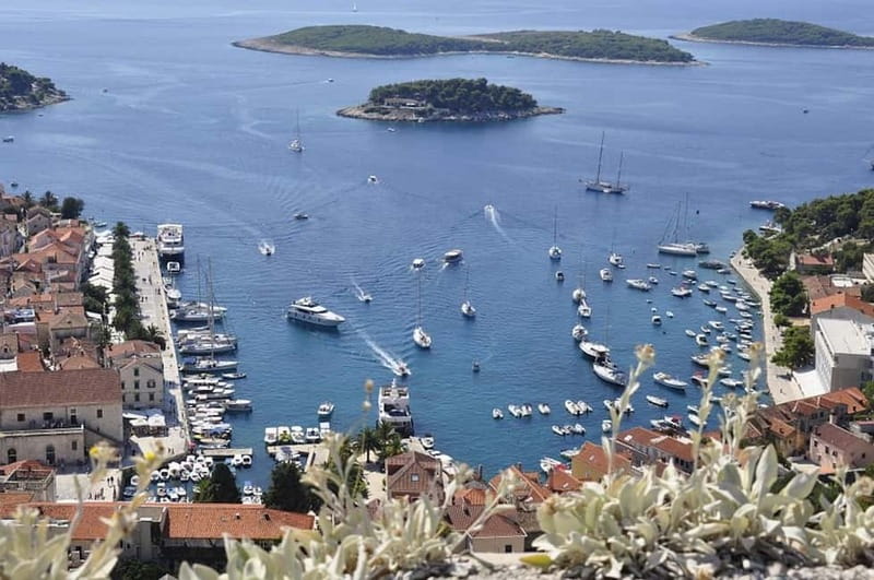 From Milna or Supetar: Magical Blue Cave Island Hopping - Key highlights to look for