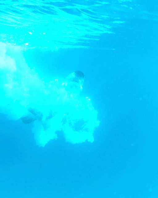 From Split: Blue Lagoon & 2 Islands half-day Private - Who this tour is best for