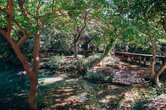 From Split: Krka Waterfalls, Food & Wine Tasting Tour - Plastovo village wine tasting at Vinery Sladić