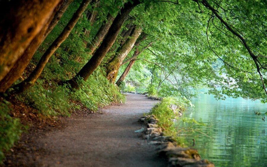 From Split or Trogir: Plitvice Lakes Guided Full-Day Tour - Arriving at UNESCO Plitvice: how the wooden walkways work