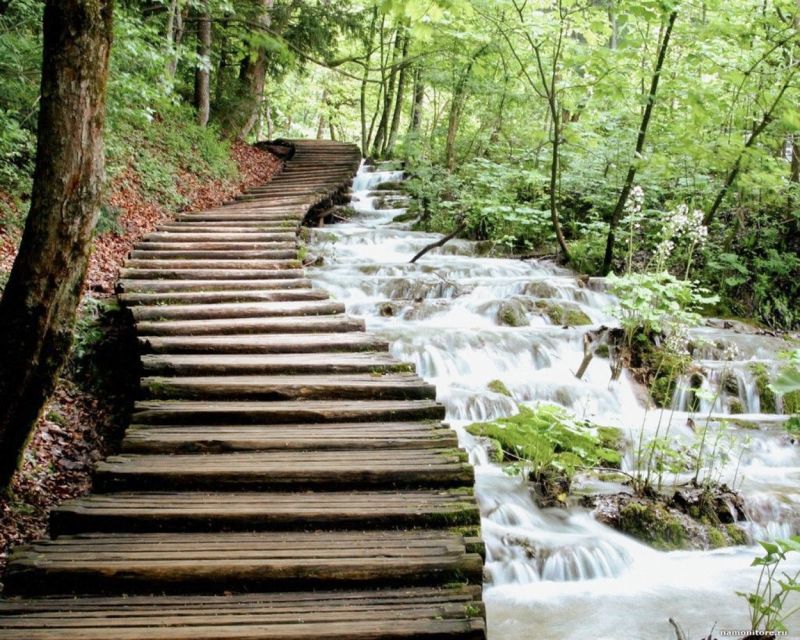 From Split or Trogir: Plitvice Lakes Guided Full-Day Tour - Kozjak Lake boat ride: the angle change that makes the day feel complete