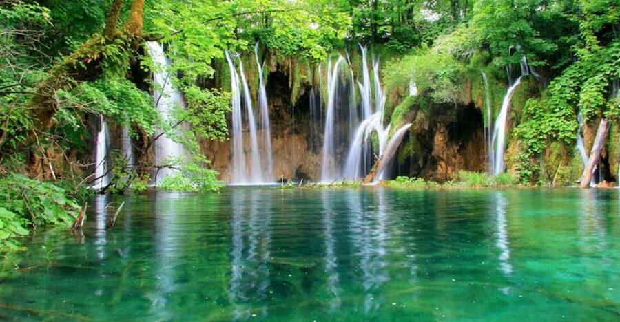 From Split or Trogir: Plitvice Lakes Private Tour - UNESCO Plitvice Lakes: What the Park Really Looks Like in One Day
