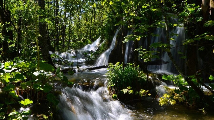 From Split or Trogir: Plitvice Lakes Trip with Entry Ticket - Entering Plitvice Lakes National Park: where the waterfalls start to make sense