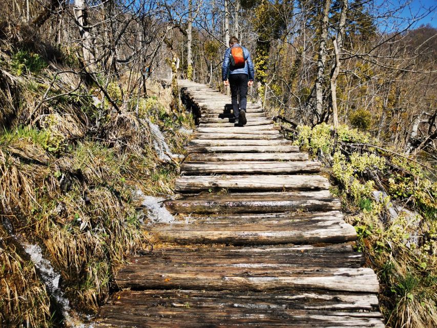 From Split: Plitvice Lakes Full-Day Trip - Entering Plitvice: lower lakes first, then the waterfall crescendo