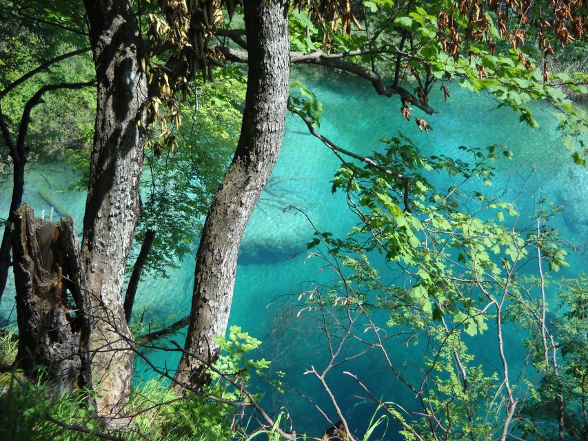 From Split: Plitvice Lakes Full-Day Trip - Who this trip suits best, and who should rethink it
