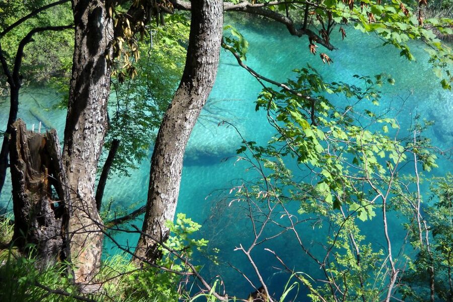 From Split: Plitvice Lakes Fully-Guided Day Tour - From Split to Plitvice: what the long day feels like