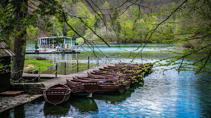 From Split: Plitvice Lakes Guided tour - Getting in fast: entrance tickets, cash, and timed check-in