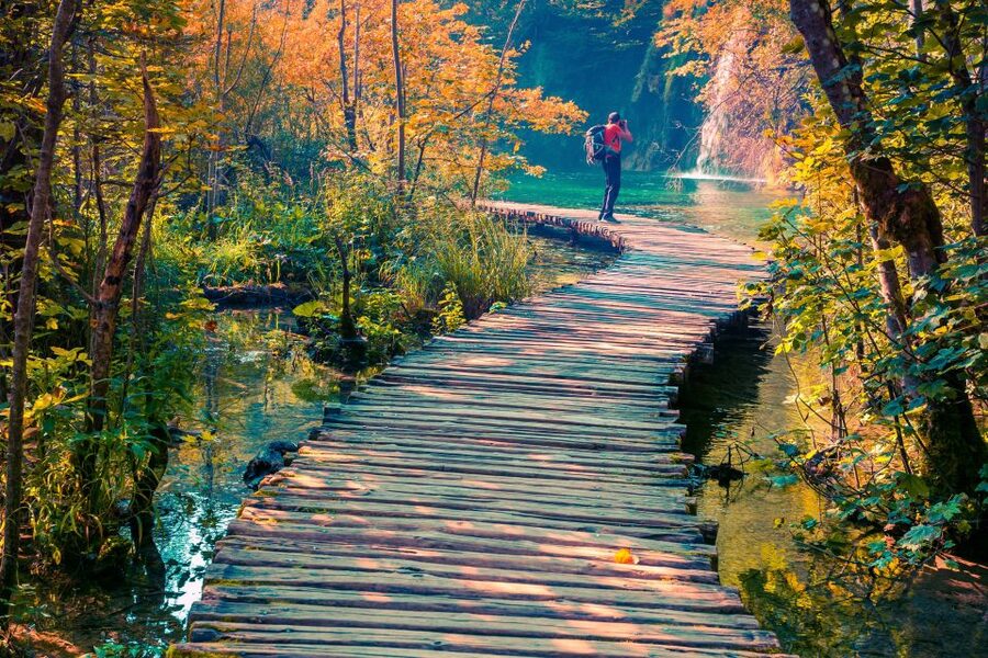 From Split: Plitvice Lakes Guided Tour with Entry Tickets - Comfort, Weather, and the Bus Ride You Can’t Skip