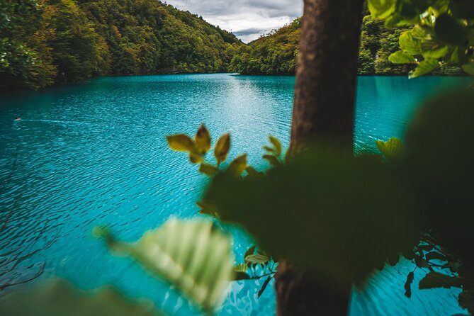 From Split: Plitvice Lakes - Private tour - Lower Lakes and Sastavci waterfalls: where the canyon energy hits