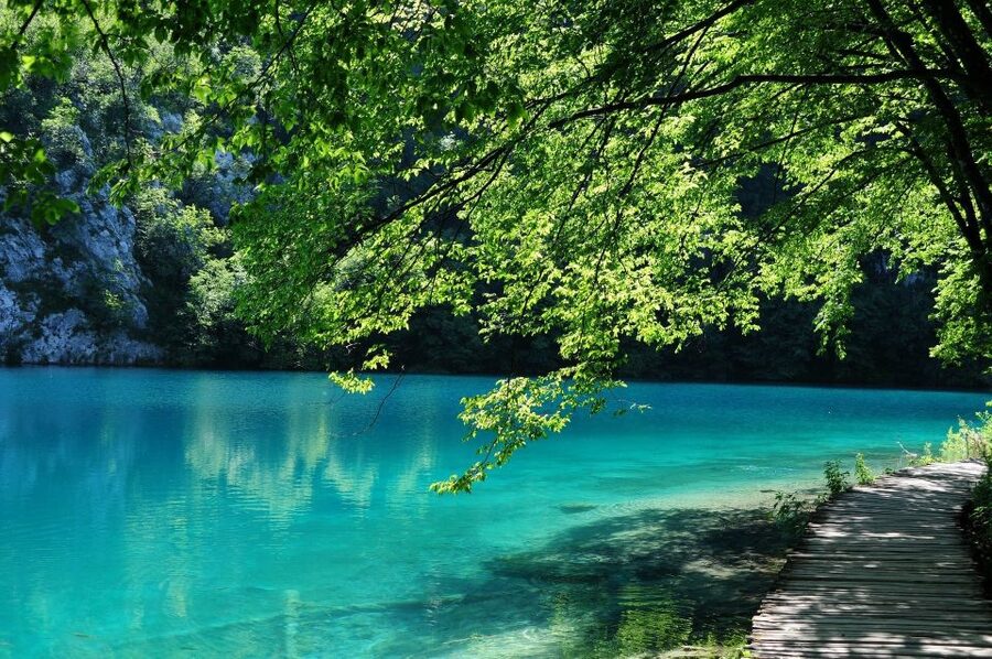 From Split: Private Tour to Plitvice Lakes National Park - Panoramic train and electric boat, the best kind of shortcuts