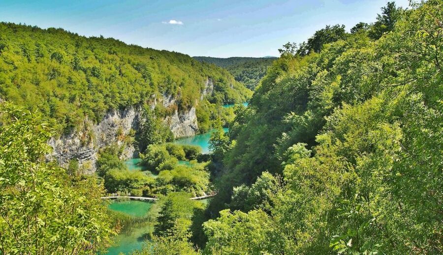 From Split: Private Tour to Plitvice Lakes National Park - Waterfalls, climate, and why the park has so much wildlife