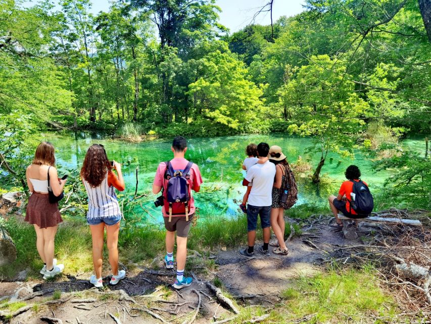 From Split/Trogir/Omiš: Plitvice Lakes Guided Group Tour - Photo time and animal spotting without losing the group