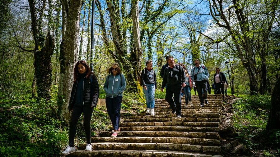 From Split/Trogir/Omiš: Plitvice Lakes Guided Group Tour - Who this Plitvice tour is best for