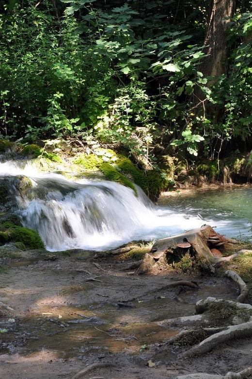 From Trogir, Seget & Okrug: Krka Waterfalls Gastro Tour - The value: why this tour works from Trogir