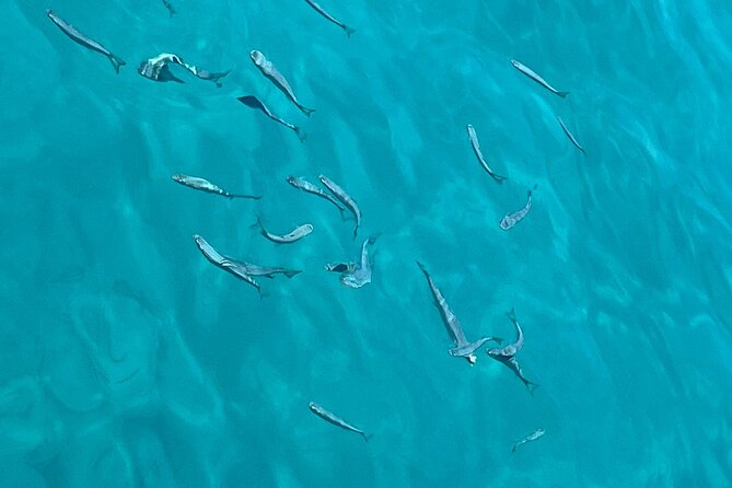 Full Day Boat Tour, Blue Lagoon and Šolta with lunch&drinks - Who this tour suits best