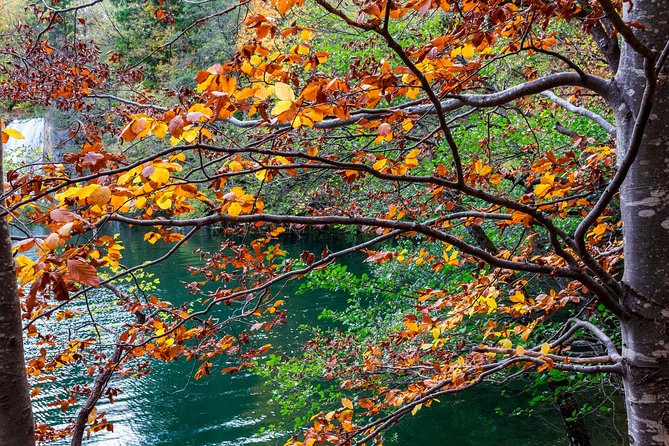 Full-Day Private Plitvice Lakes National Park Tour from Split - What is included, what is not, and what you are really paying for