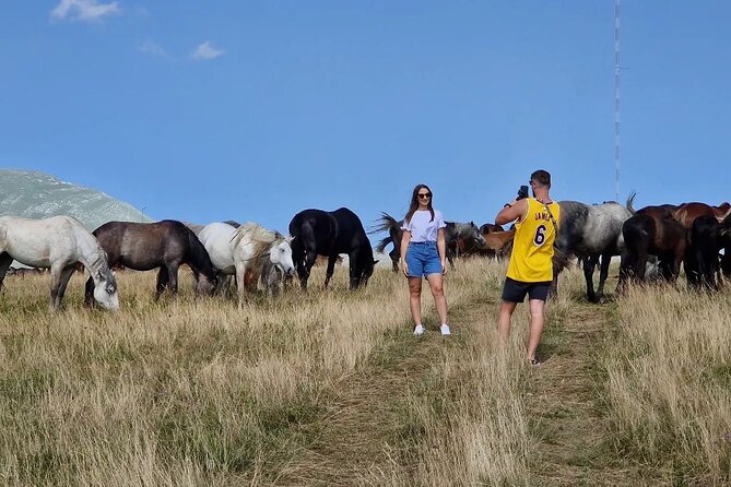 Full-Day Quad and Wild Horses Safari in Livno from Split - Price and value for a $216.74 full day