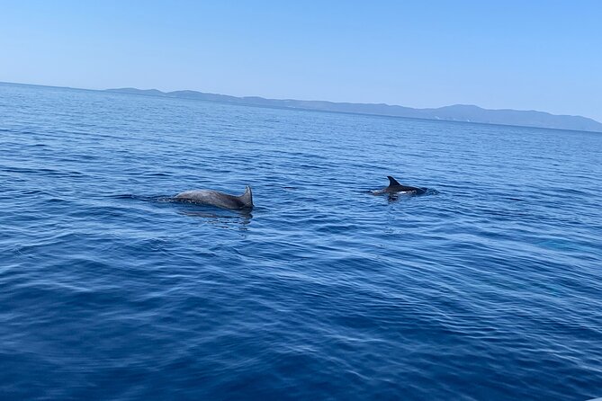 Fully customized private boat trip from Trogir and Split - Snorkeling gear, safety, and the skipper: how the day stays smooth